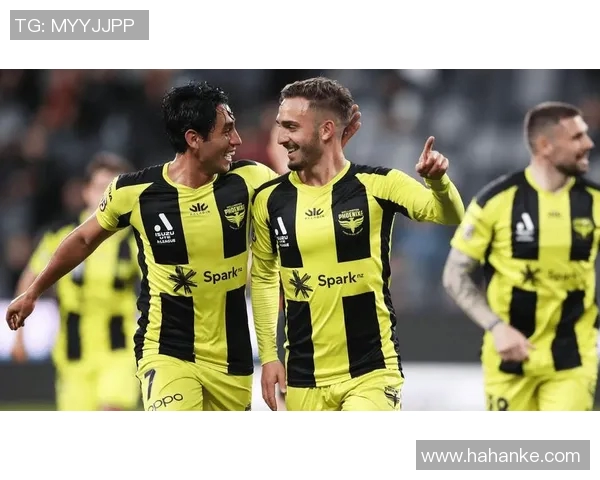 墨尔本胜利与惠灵顿凤凰对决分析及胜负推荐解析